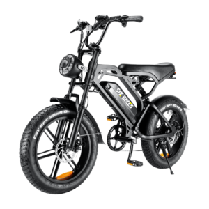 SIK BIKES_fatbike v20_sikbikes_ logo_2