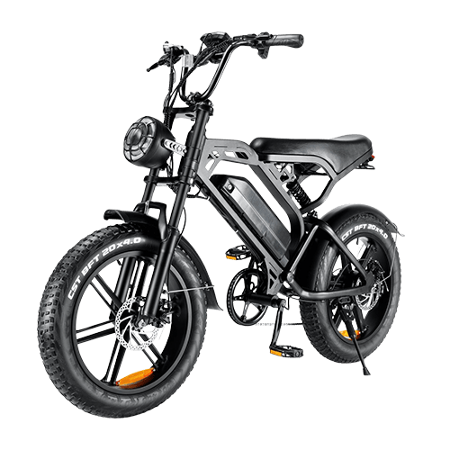 SIK BIKES_fatbike v20_sikbikes_500x500